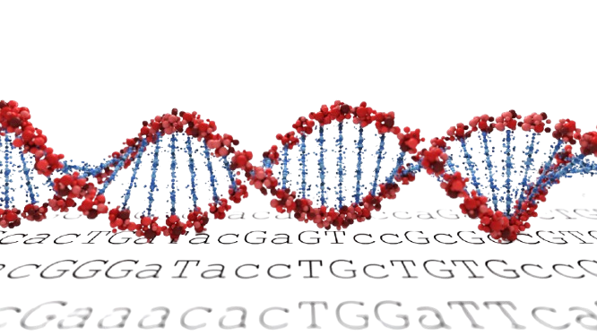 Next Generation Sequencing (NGS) Course